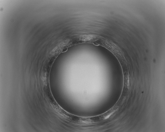 X0000084600510200703021629