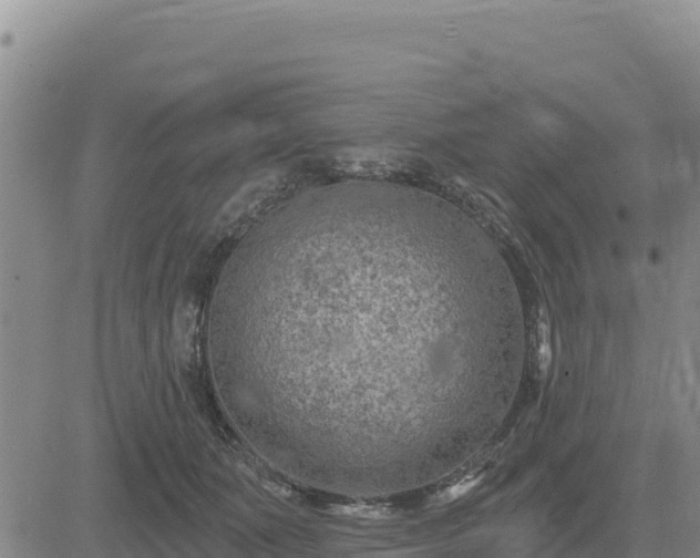 X0000084600511200703021629