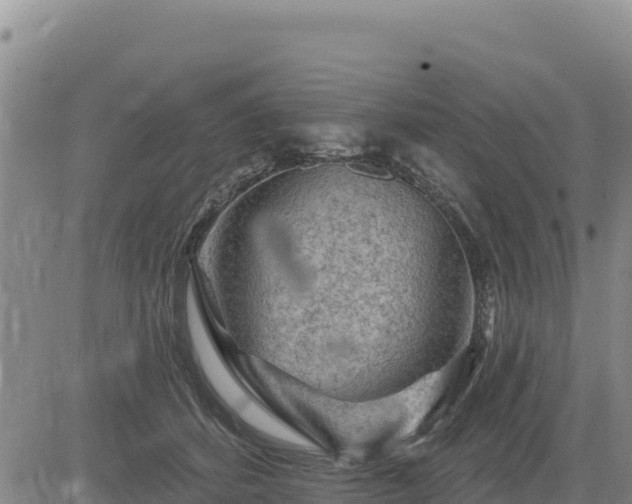 X0000084600512200703021629