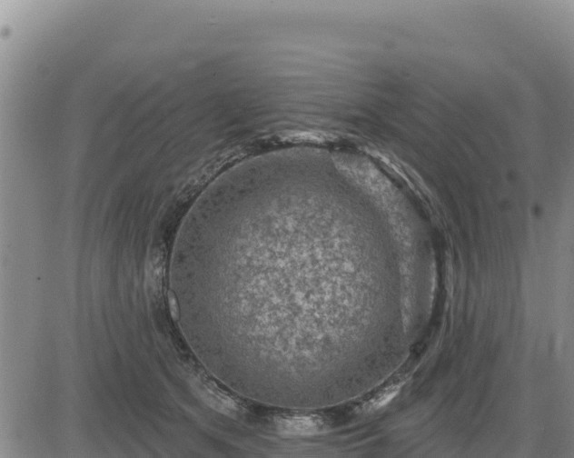 X0000084600513200703021629