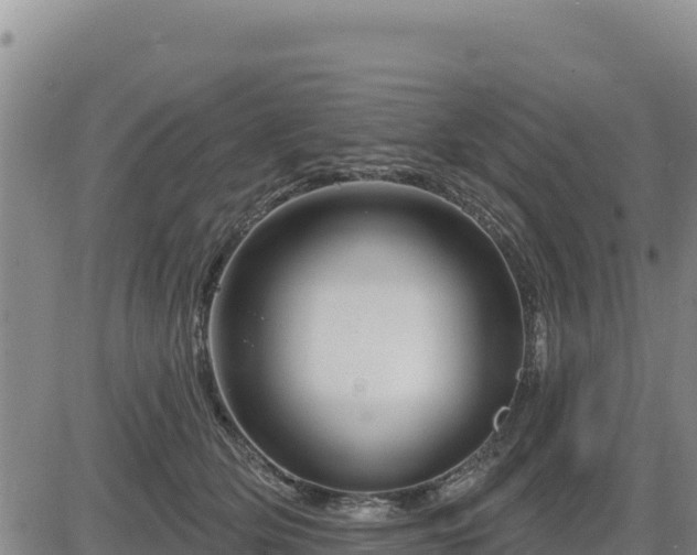 X0000084600514200703021629