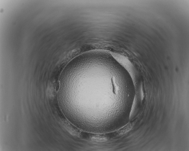 X0000084600515200703021629