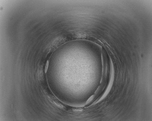 X0000084600516200703021629