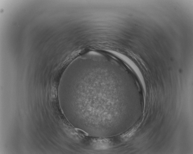 X0000084600517200703021629