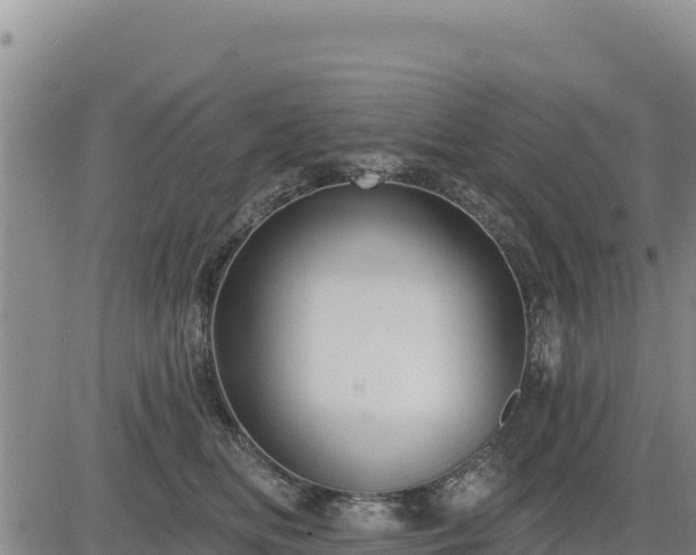 X0000084600518200703021629