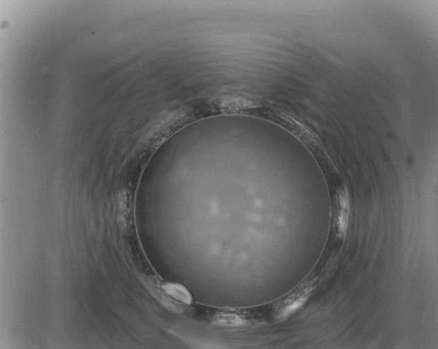 X0000084600519200703021629