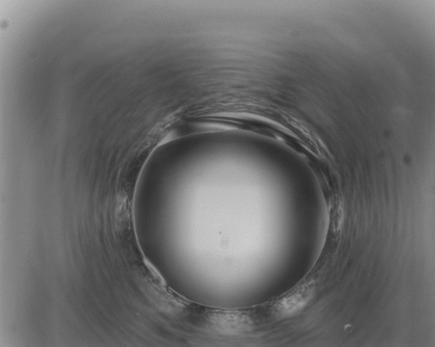 X0000084600521200703021629