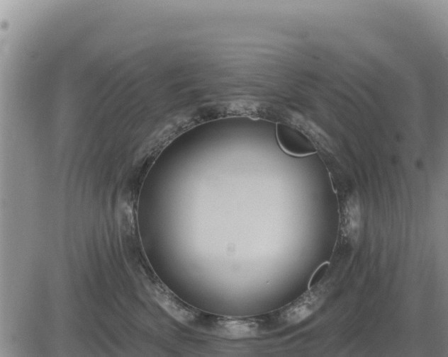 X0000084600522200703021629