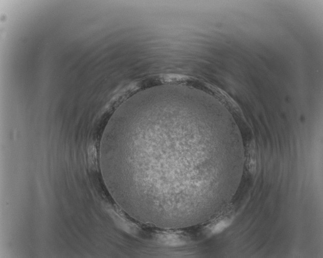 X0000084600523200703021629