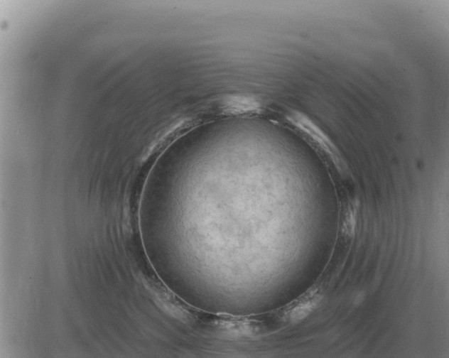 X0000084600524200703021629