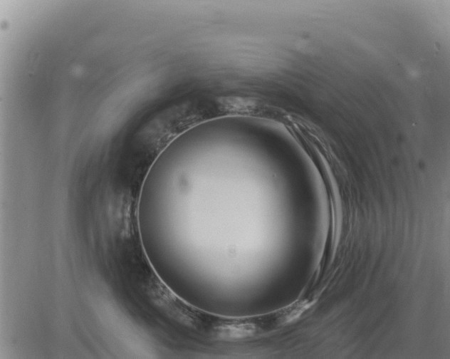 X0000084600525200703021629