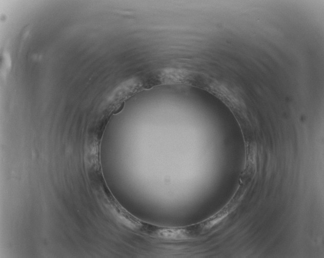 X0000084600526200703021629