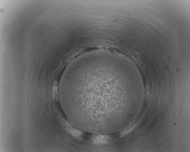 X0000084600527200703021629