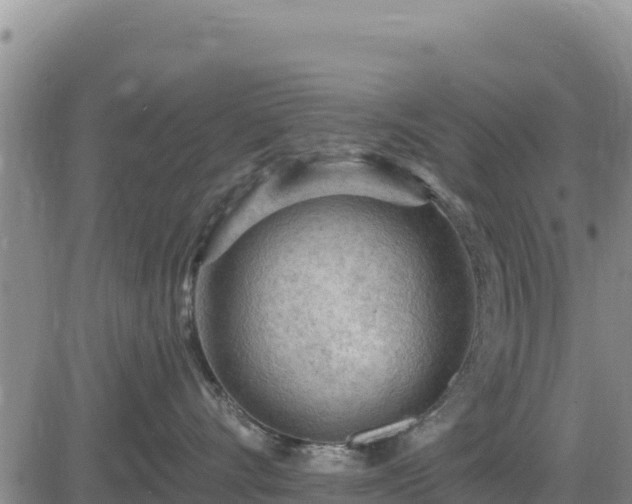 X0000084600528200703021629