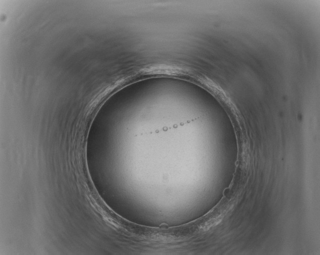 X0000084600529200703021628