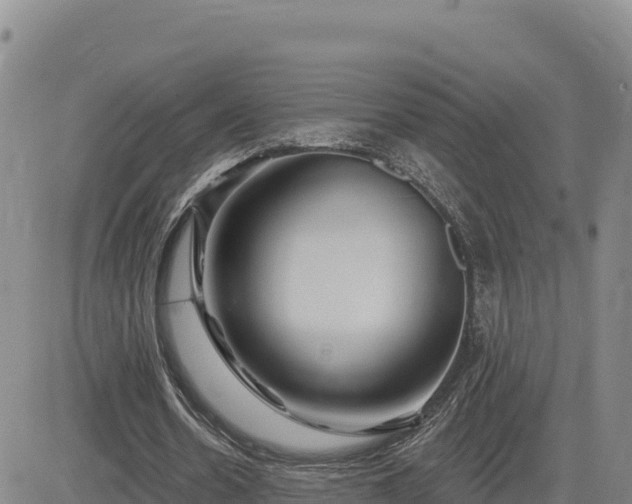 X0000084600530200703021628