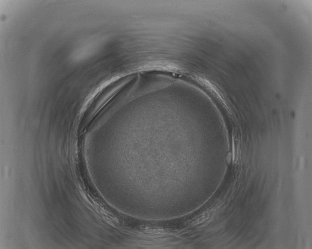 X0000084600531200703021628