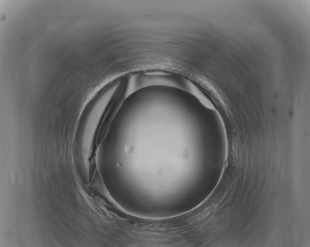 X0000084600532200703021628