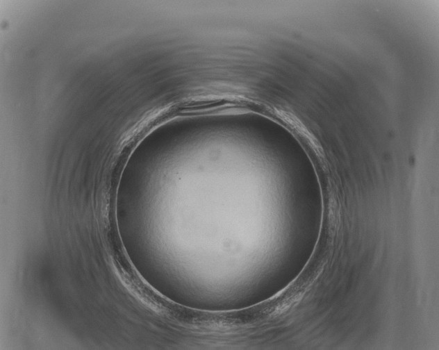 X0000084600533200703021628