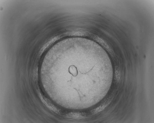 X0000084600534200703021628