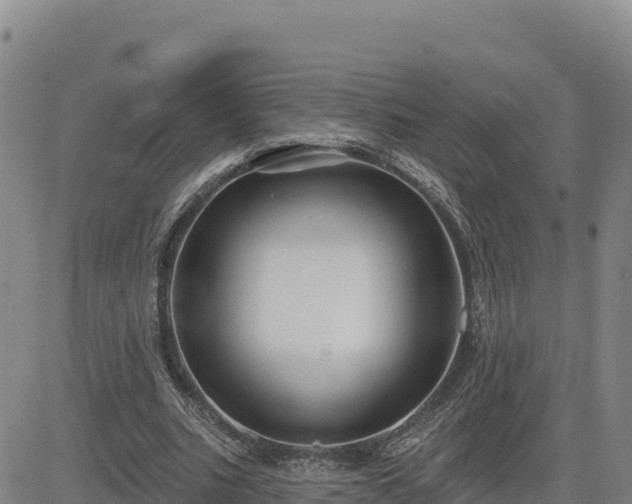 X0000084600535200703021628