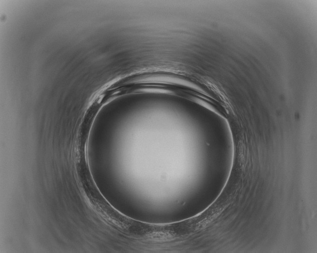 X0000084600536200703021628