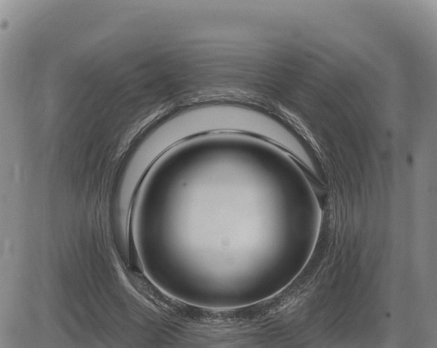 X0000084600538200703021628