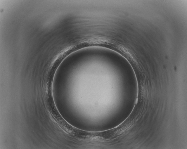 X0000084600539200703021628