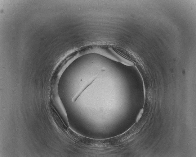 X0000084600540200703021628