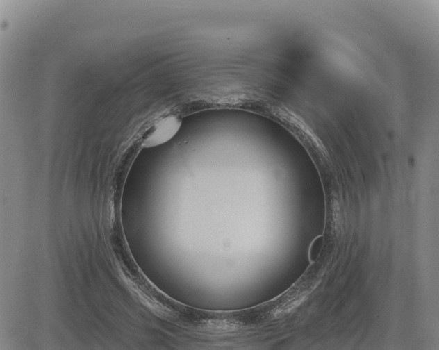 X0000084600541200703021628