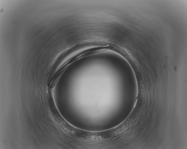 X0000084600543200703021628