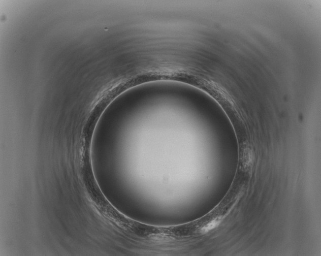 X0000084600544200703021628