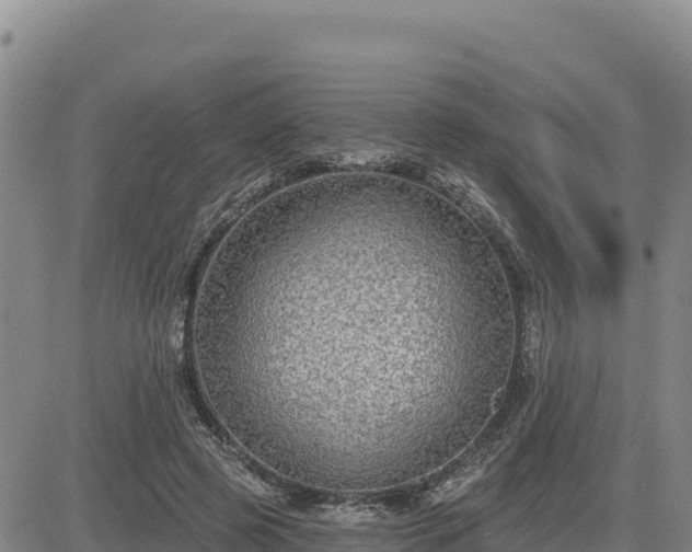 X0000084600545200703021628