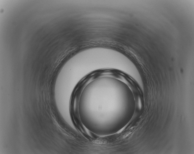 X0000084600546200703021628