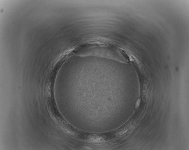 X0000084600547200703021628