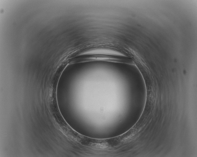 X0000084600548200703021628