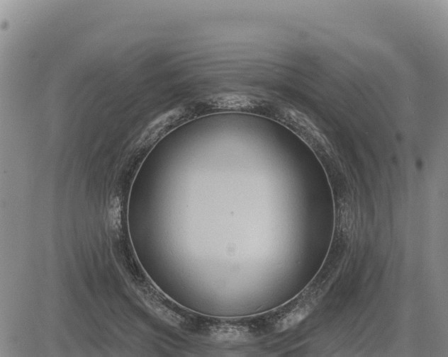 X0000084600549200703021628