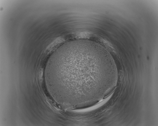 X0000084600550200703021628