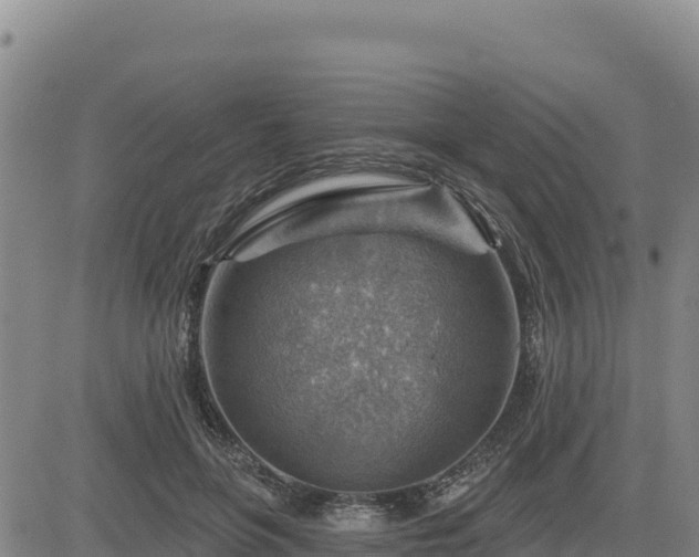 X0000084600551200703021628