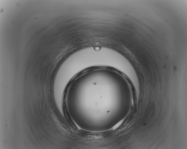 X0000084600552200703021628