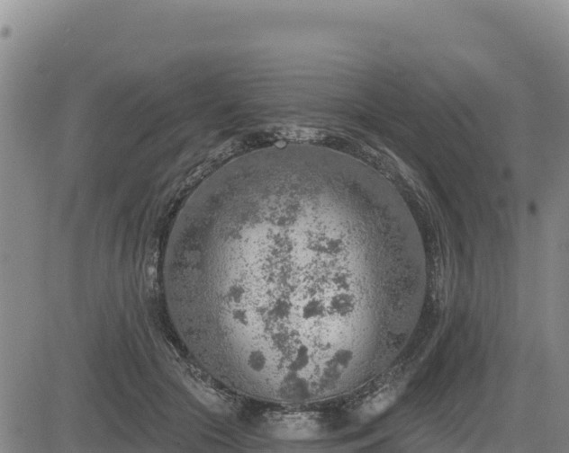 X0000084600553200703021628