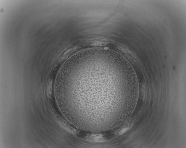 X0000084600554200703021628