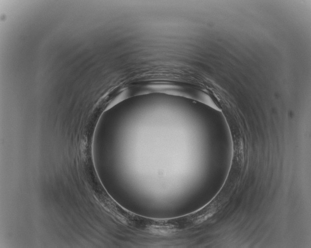 X0000084600556200703021629