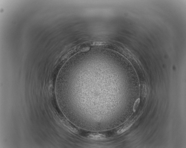 X0000084600557200703021629