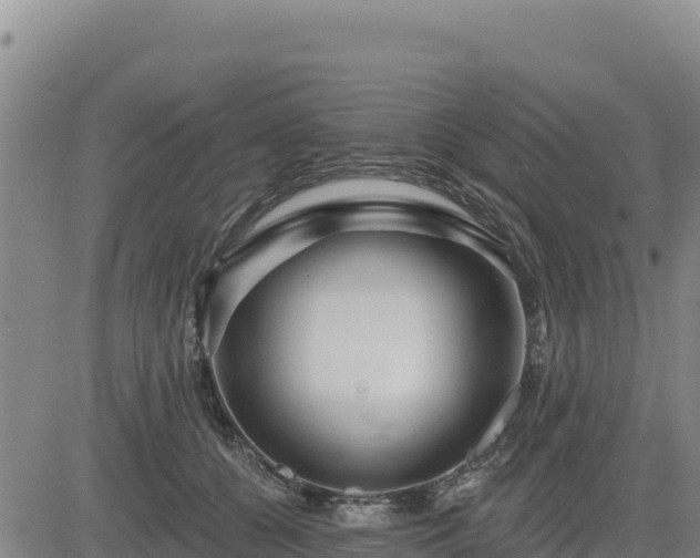 X0000084600560200703021629