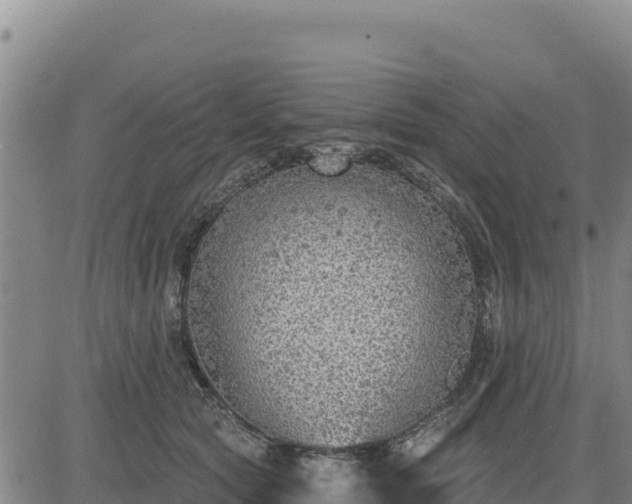 X0000084600561200703021629