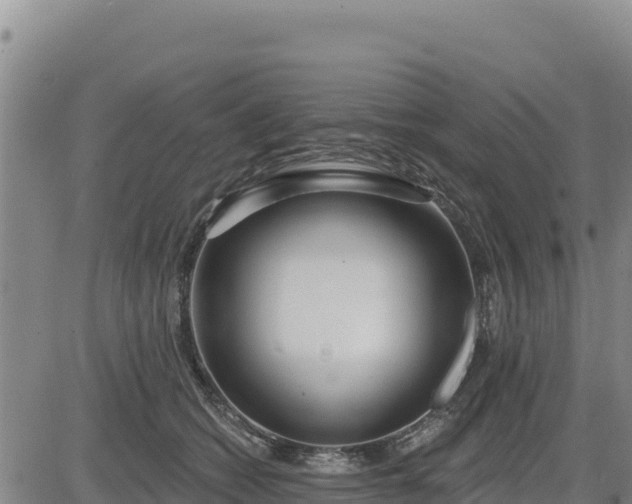 X0000084600562200703021629