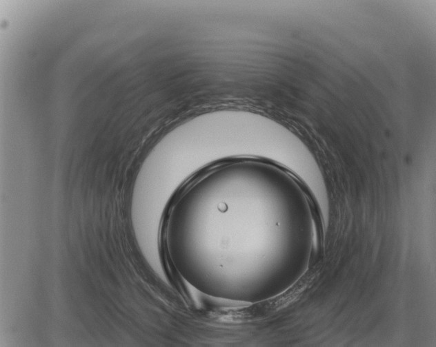 X0000084600564200703021629