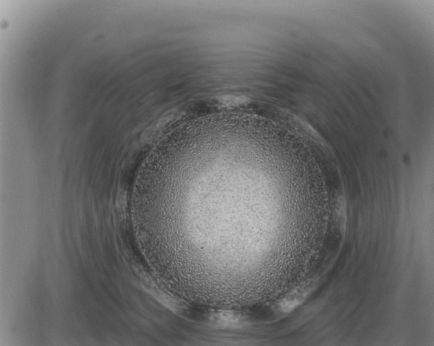 X0000084600565200703021629