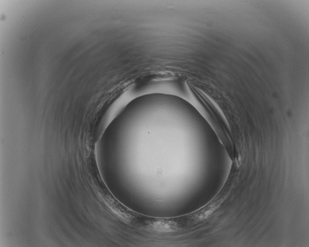 X0000084600566200703021629